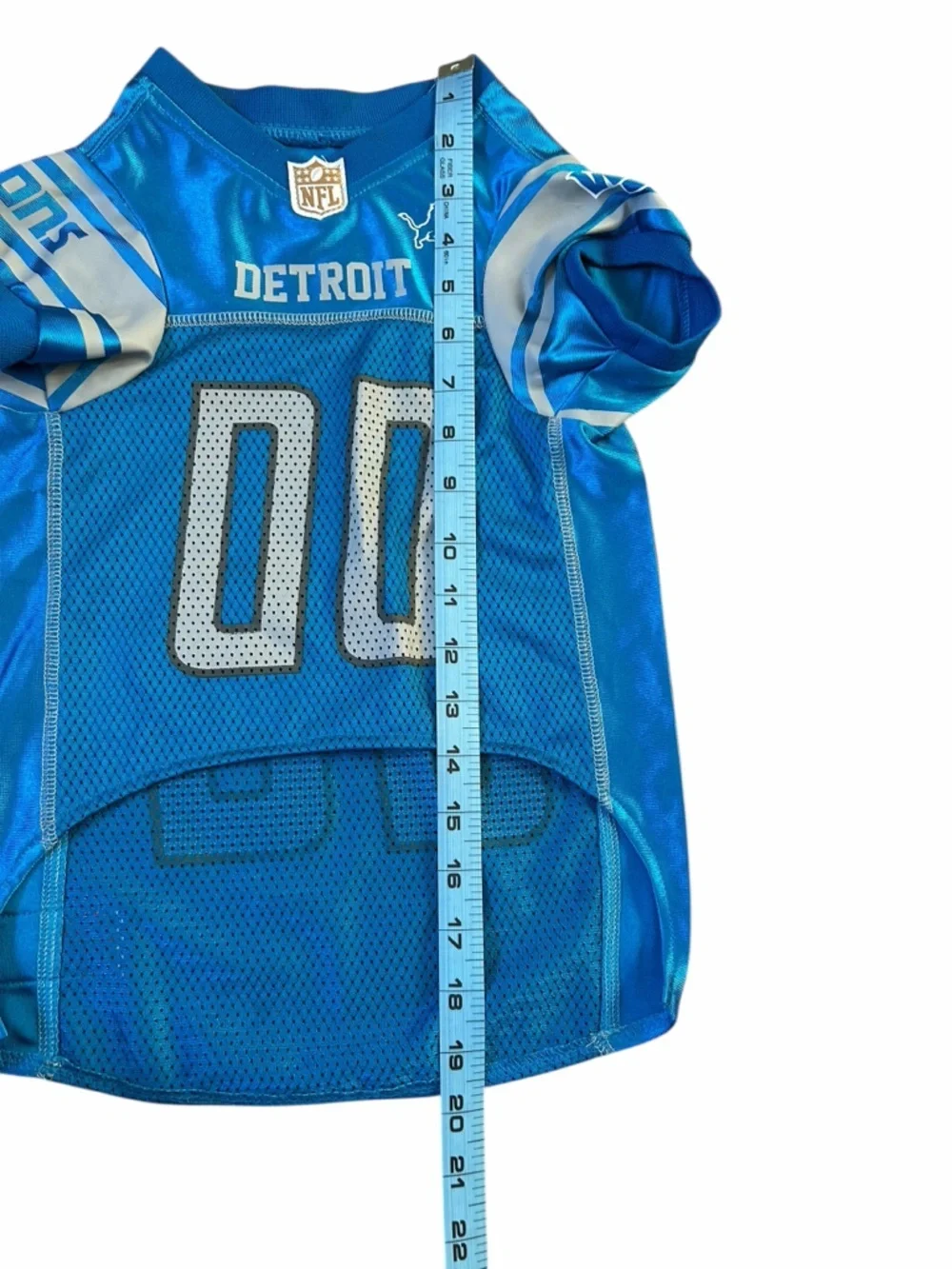 NFL detroit lions